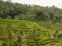 Indonesië 2009