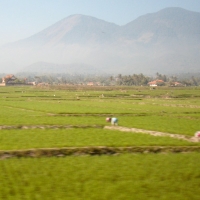 Indonesië, Java