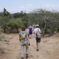 Turkana Route II (klein) 2